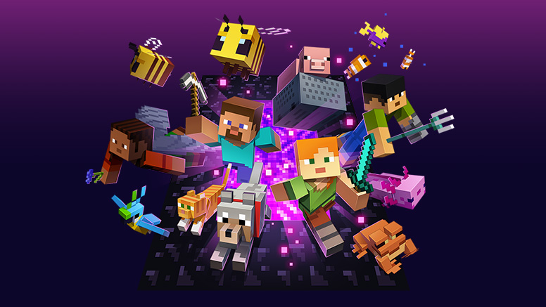 Image du jeu Minecraft
